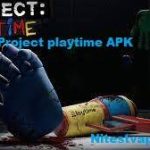 Project playtime APK