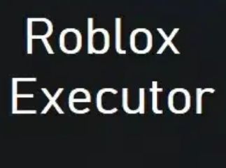 Roblox Executor APK