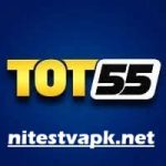 Tot55 Game